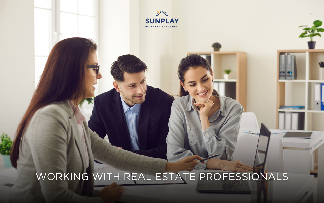 Working with Real Estate Professionals